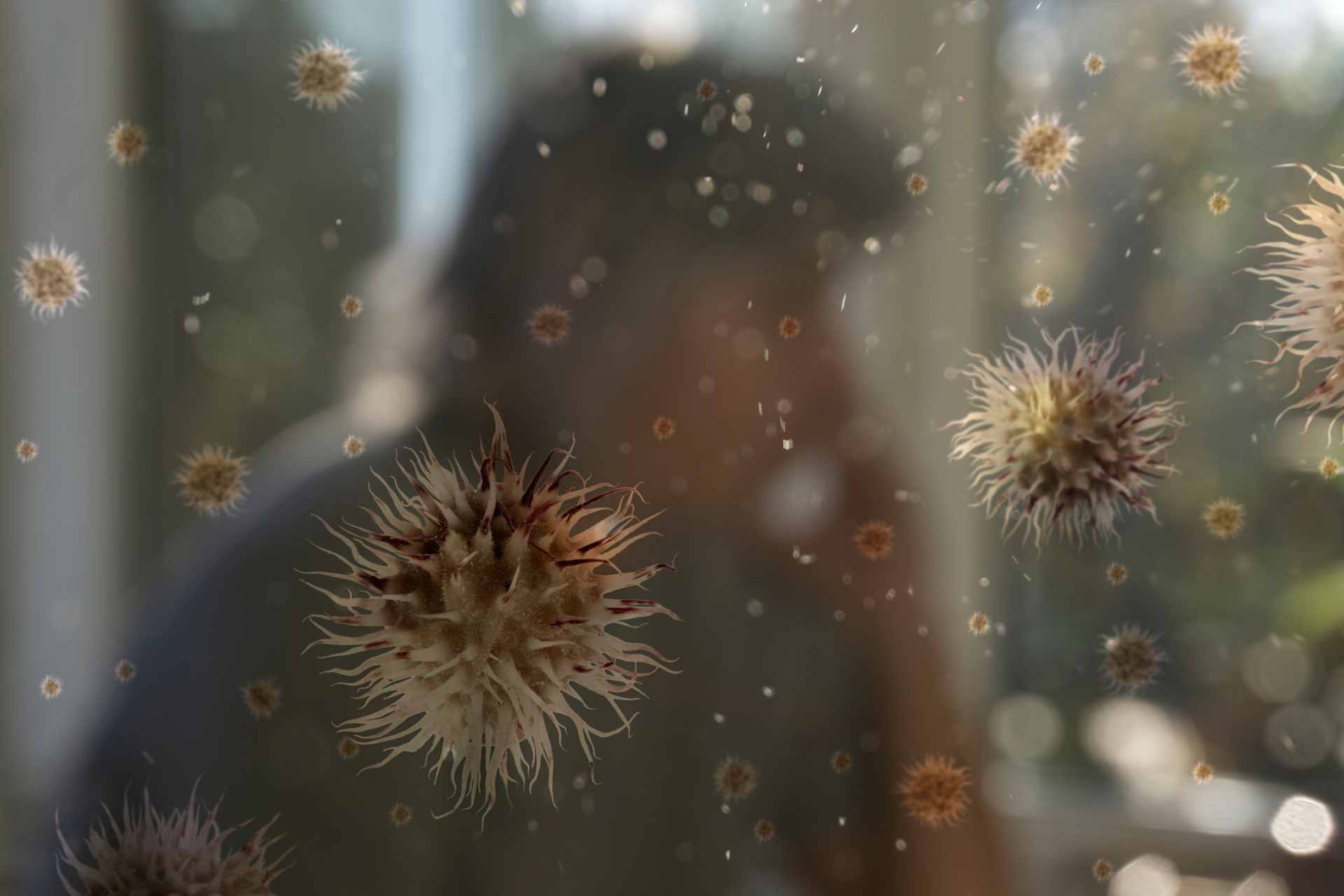 Tratamiento para la alergia al polvo Naucalpan