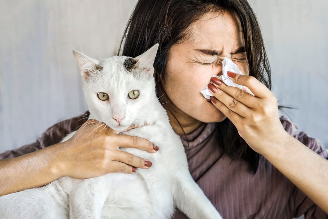 Tratamiento para alergia a los gatos en Naucalpan