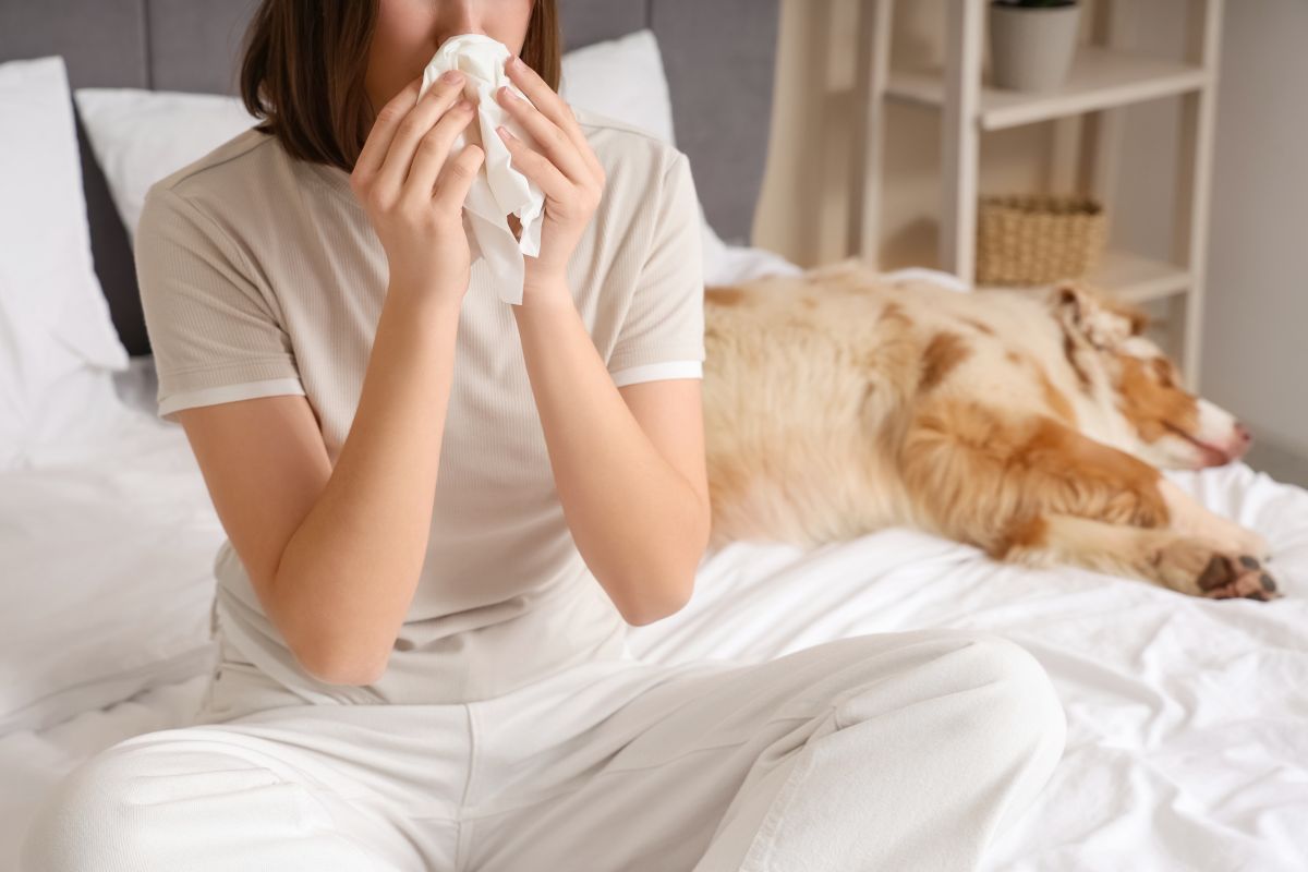 Tratamiento para alergia a los perros en Naucalpan